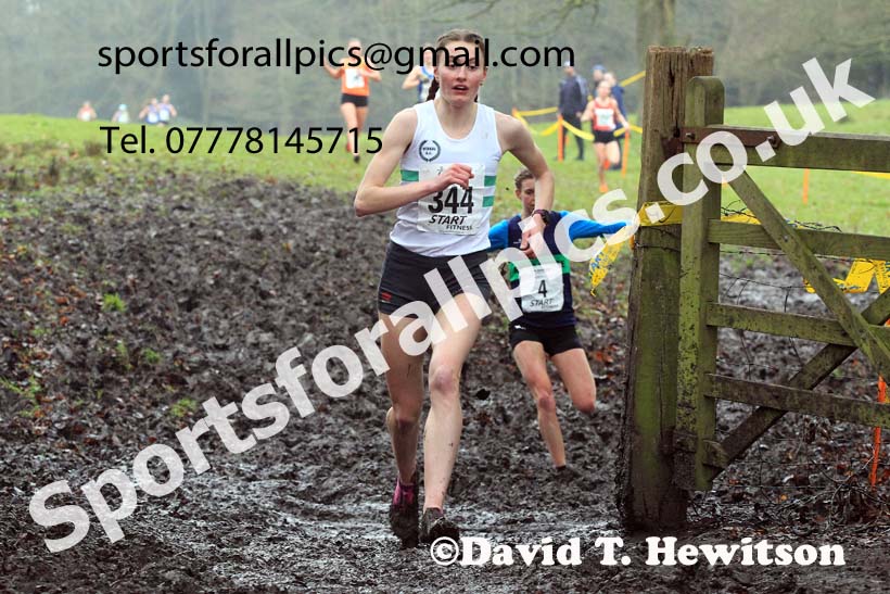 Senior Womens 2023 Northern Cross Country Champs., Witton Park, Blackburn. Photo: David T. Hewitson/Sports for All Pics